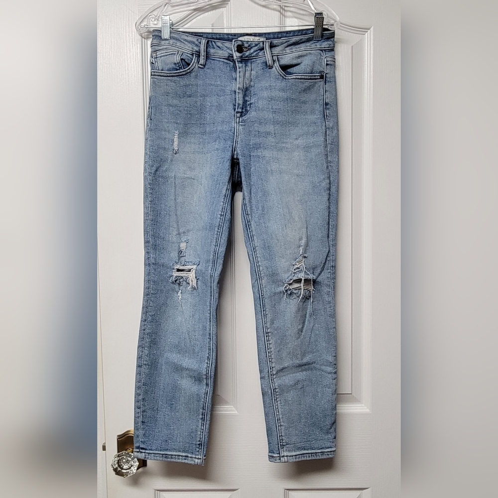 Judy Blue Light Wash Skinny Jeans